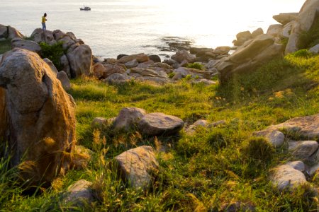 Nature Reserve Rock Fauna Grass