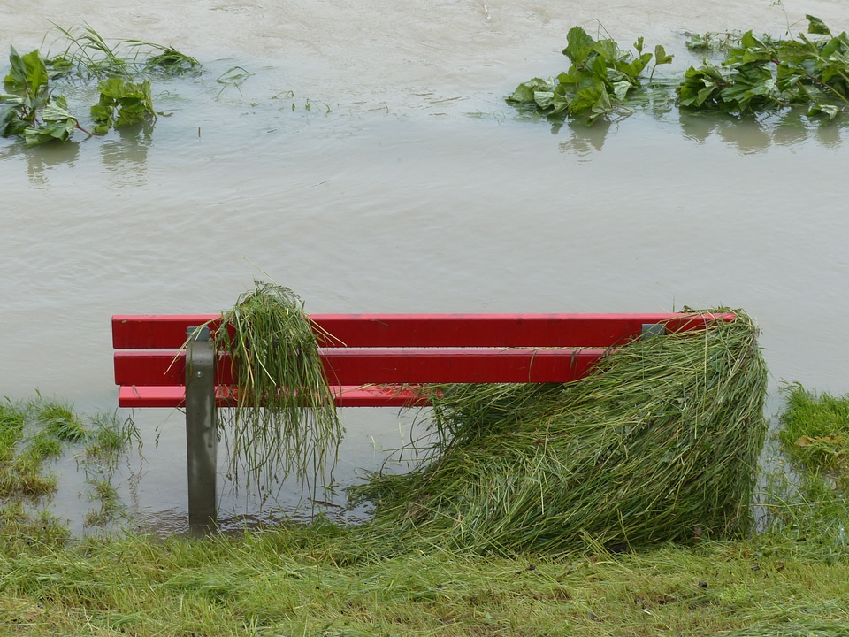 Grass decline in red photo