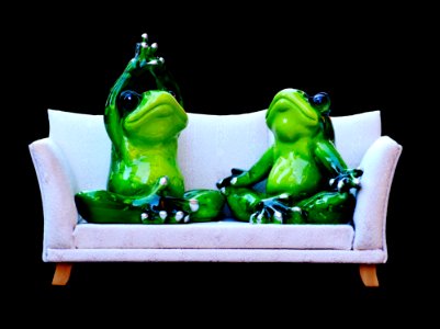 Green Vertebrate Amphibian Organism