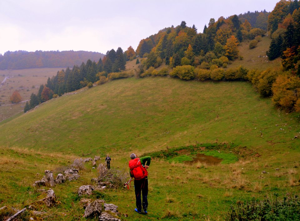 Grassland Hill Highland Wilderness