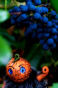 Fruit Produce Berry