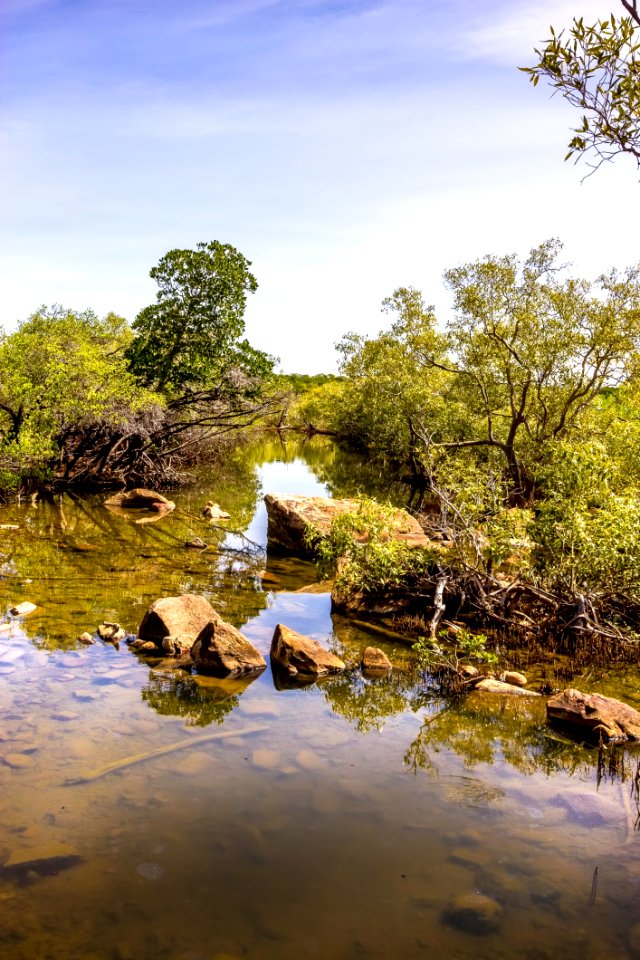 Reflection Water Nature Body Of Water