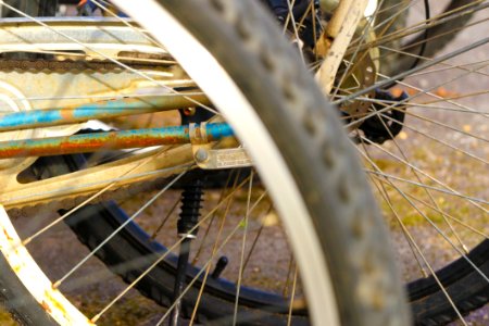 Land Vehicle Bicycle Wheel Road Bicycle Spoke