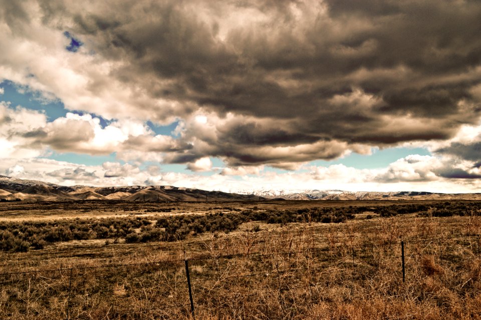 Green Grass Field Under Cloudy Sky