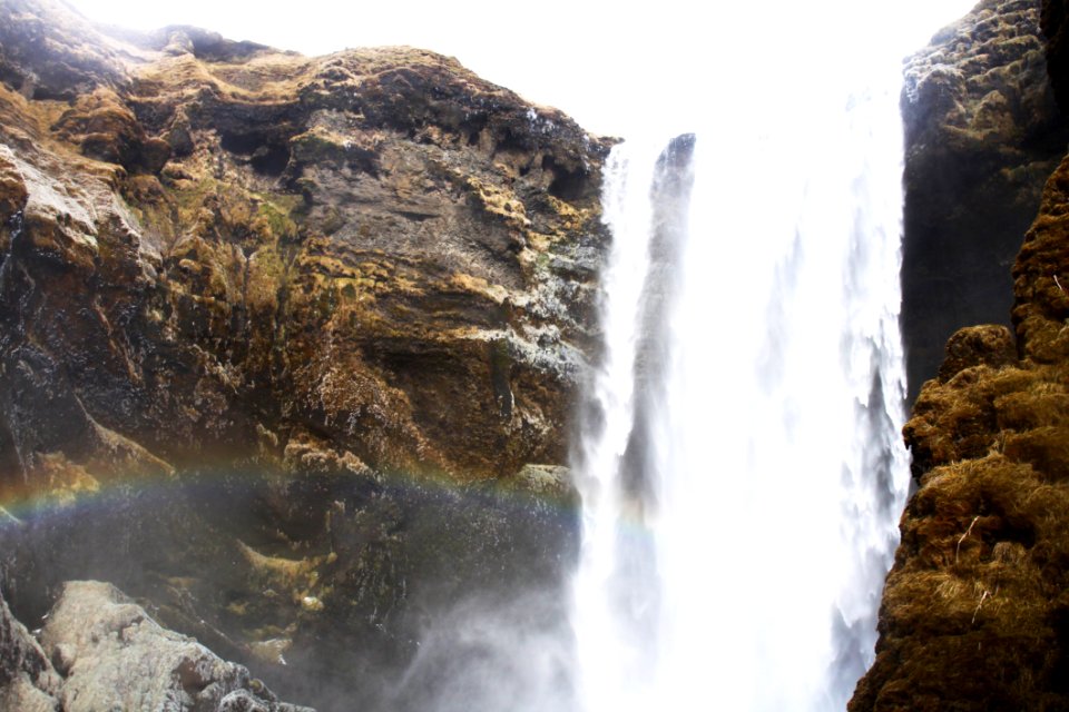 Waterfalls Near Trees