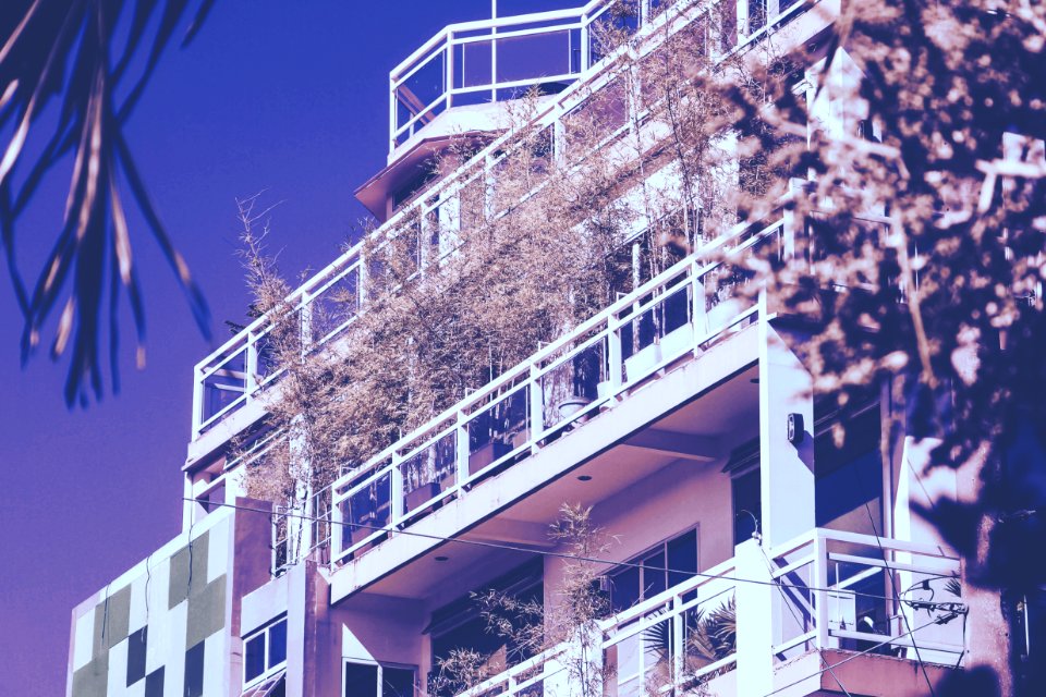 Photo Of White House