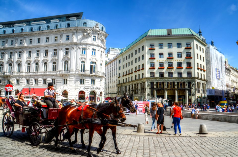 Person On Carriage With Two Horses Near Concrete Building photo