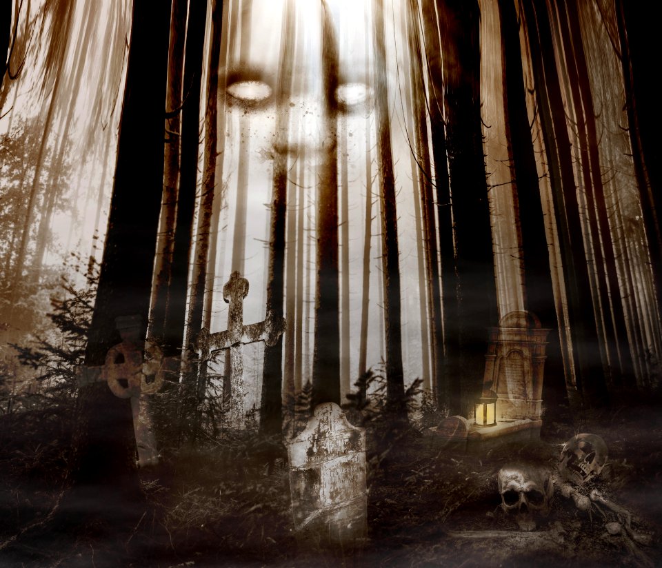 Water Darkness Formation Tree