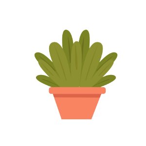Plant Flowerpot Cactus Grass photo