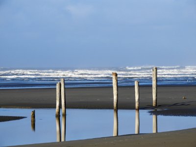 Sea Shore Ocean Coastal And Oceanic Landforms photo