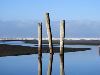 Water Sea Wood Reflection