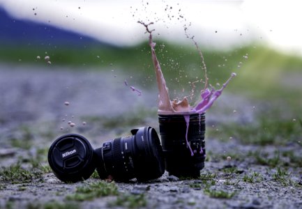 Water Nature Grass Photography