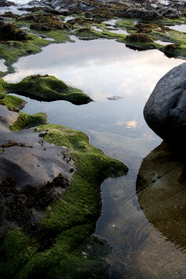 Water Reflection Nature Rock