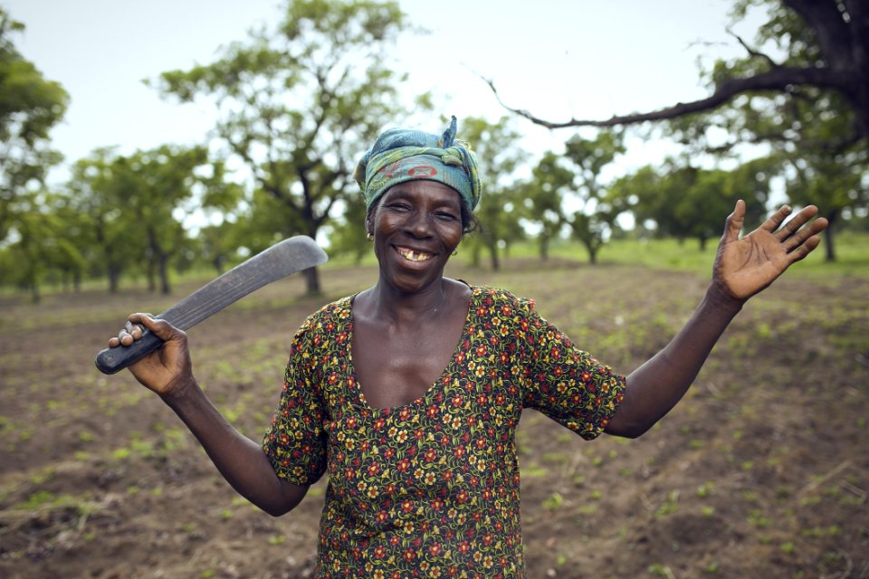 Tree Agriculture Plant Headgear