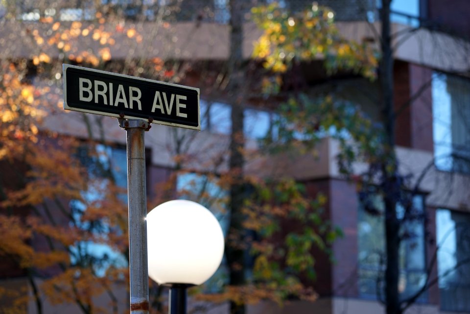 Street Sign Signage Sign Street photo