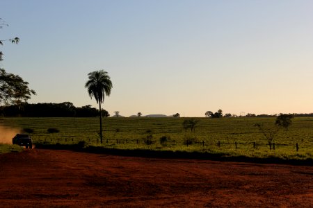 Sky Field Tree Grassland photo