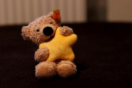Stuffed Toy Toy Teddy Bear Plush