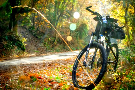 Bicycle Road Bicycle Yellow Mountain Bike