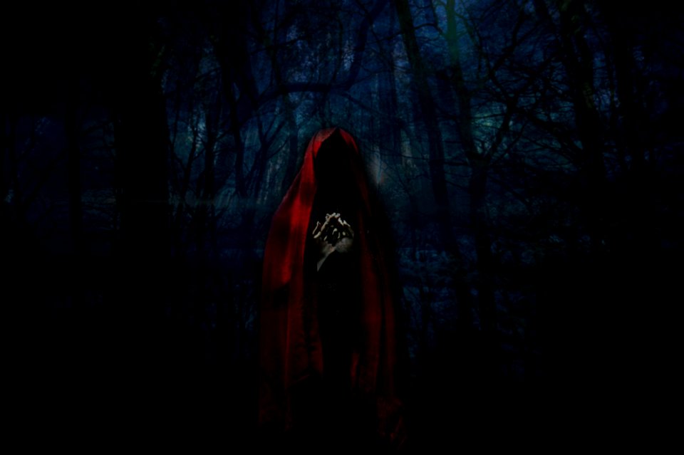 Darkness Light Forest Night