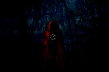 Darkness Light Forest Night
