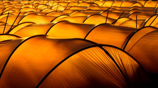 Yellow Orange Close Up Pattern