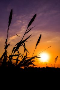 Sky Sunset Sunrise Horizon