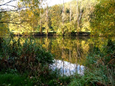 Water Reflection Nature Nature Reserve photo