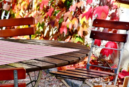 Table Furniture Autumn Plant