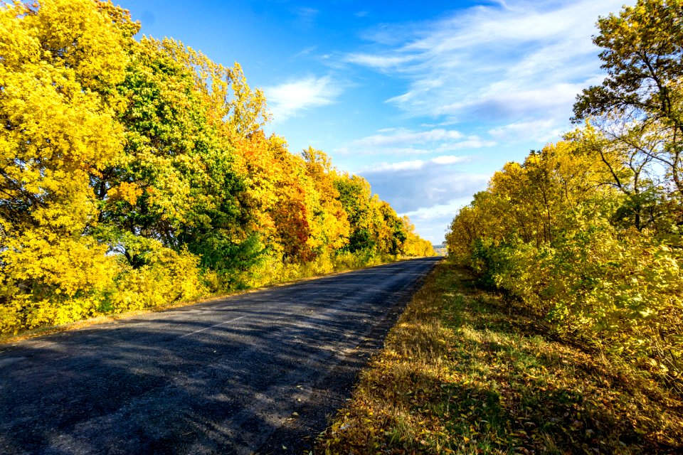 Road Nature Yellow Sky