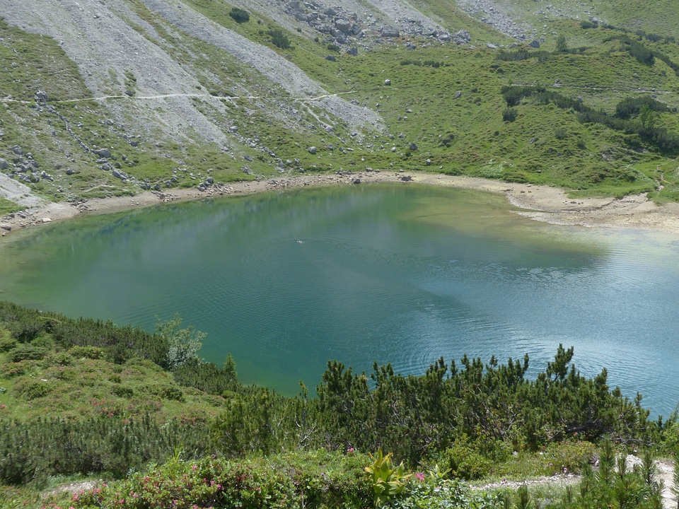 Bergsee swim alpine lake photo