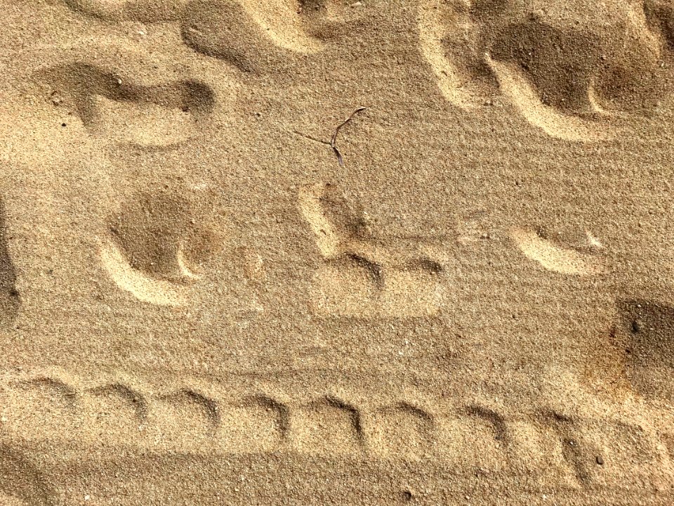 Sand Brown Soil Footprint
