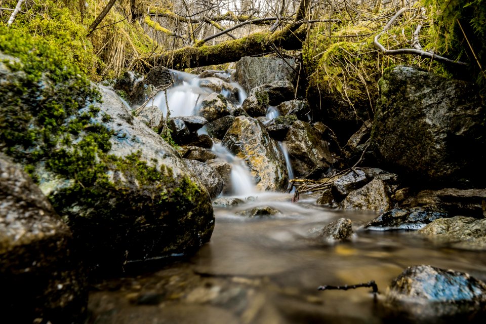 Water Nature Stream Body Of Water