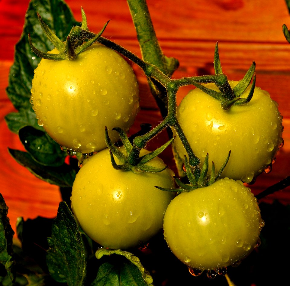 Natural Foods Vegetable Fruit Yellow