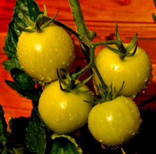 Natural Foods Vegetable Fruit Yellow