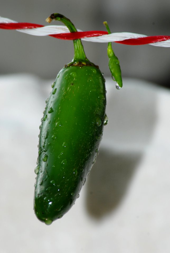 Close Up Bell Peppers And Chili Peppers Macro Photography Vegetable
