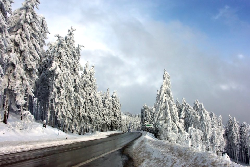 Winter Snow Tree Sky