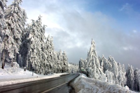 Winter Snow Tree Sky