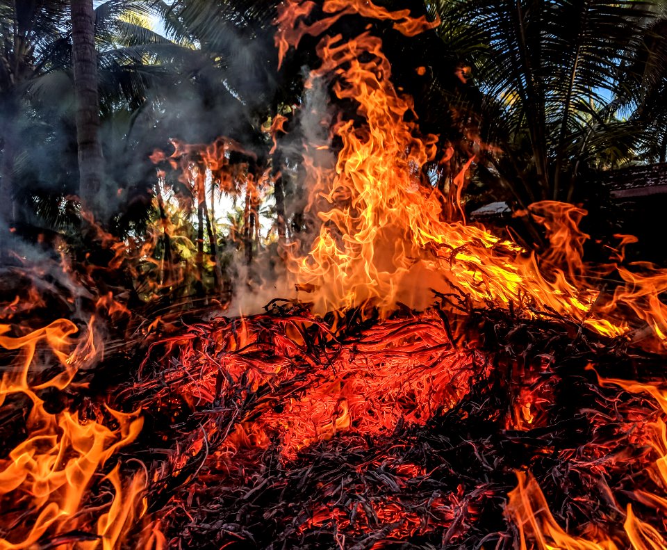 Orange Fire