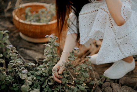 Person Wearing White Dress Holding Green Leaf photo