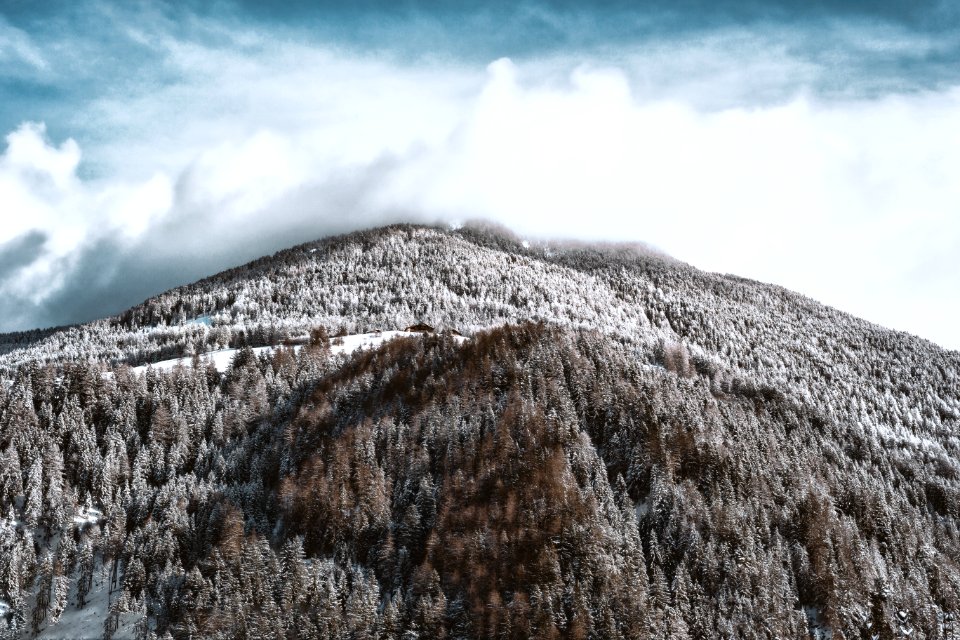 Snow-covered Mountain And Forest