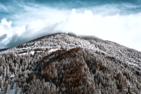 Snow-covered Mountain And Forest