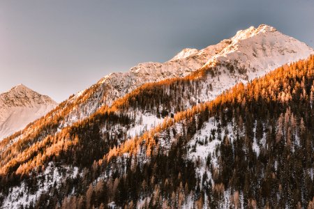 Snowy Mountain photo