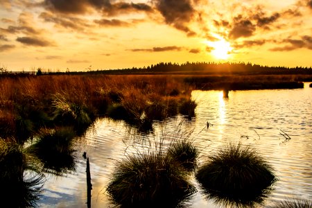 Reflection Sky Water Wetland photo