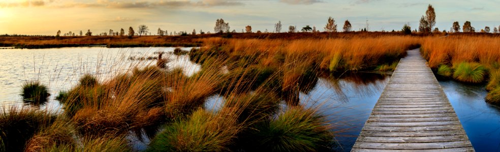 Wetland Waterway Reflection Water