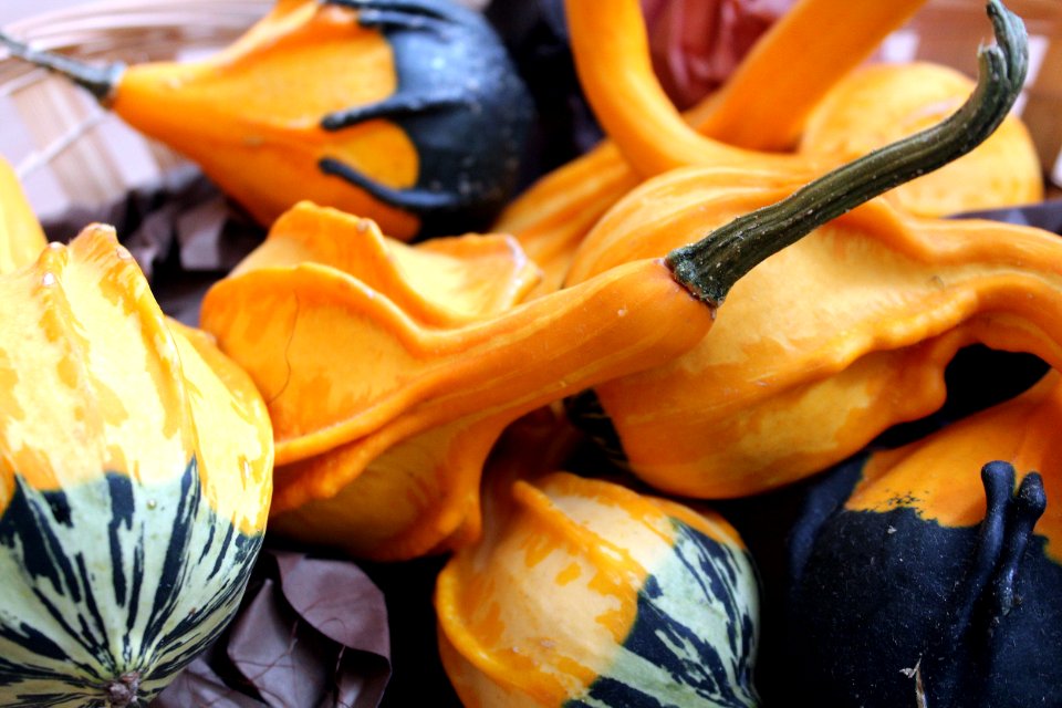 Cucurbita Vegetable Calabaza Winter Squash