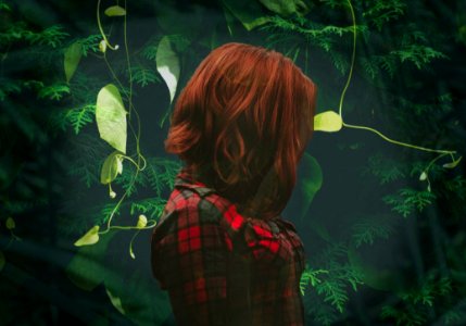 Green Nature Ecosystem Leaf