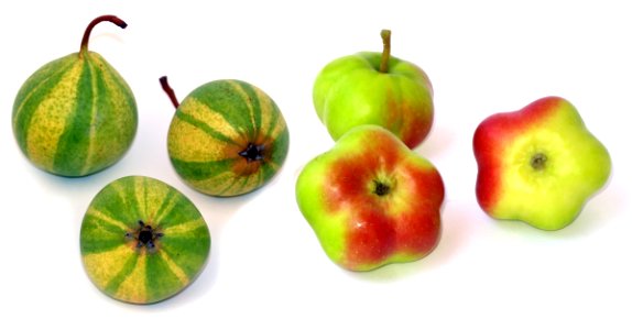 Fruit Natural Foods Produce Food photo