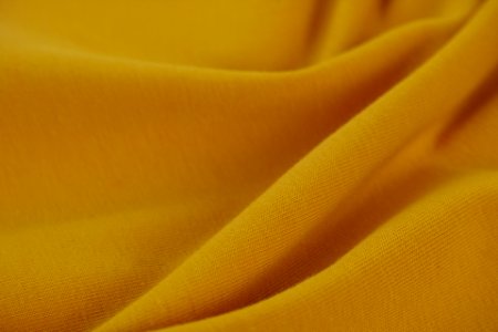 Yellow Orange Close Up Macro Photography