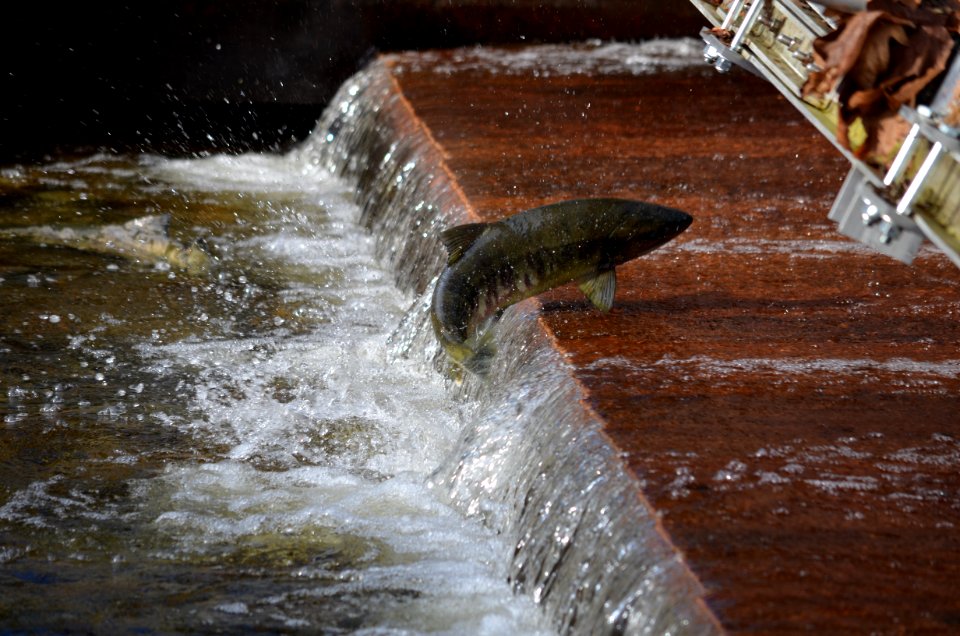 Water Water Resources Water Feature River