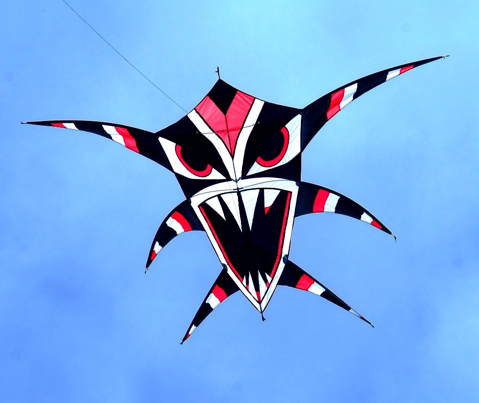 Kite Sports Kite Windsports Sport Kite
